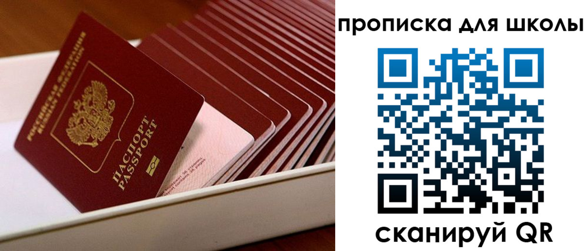 временная регистрация гарантия в Ростове